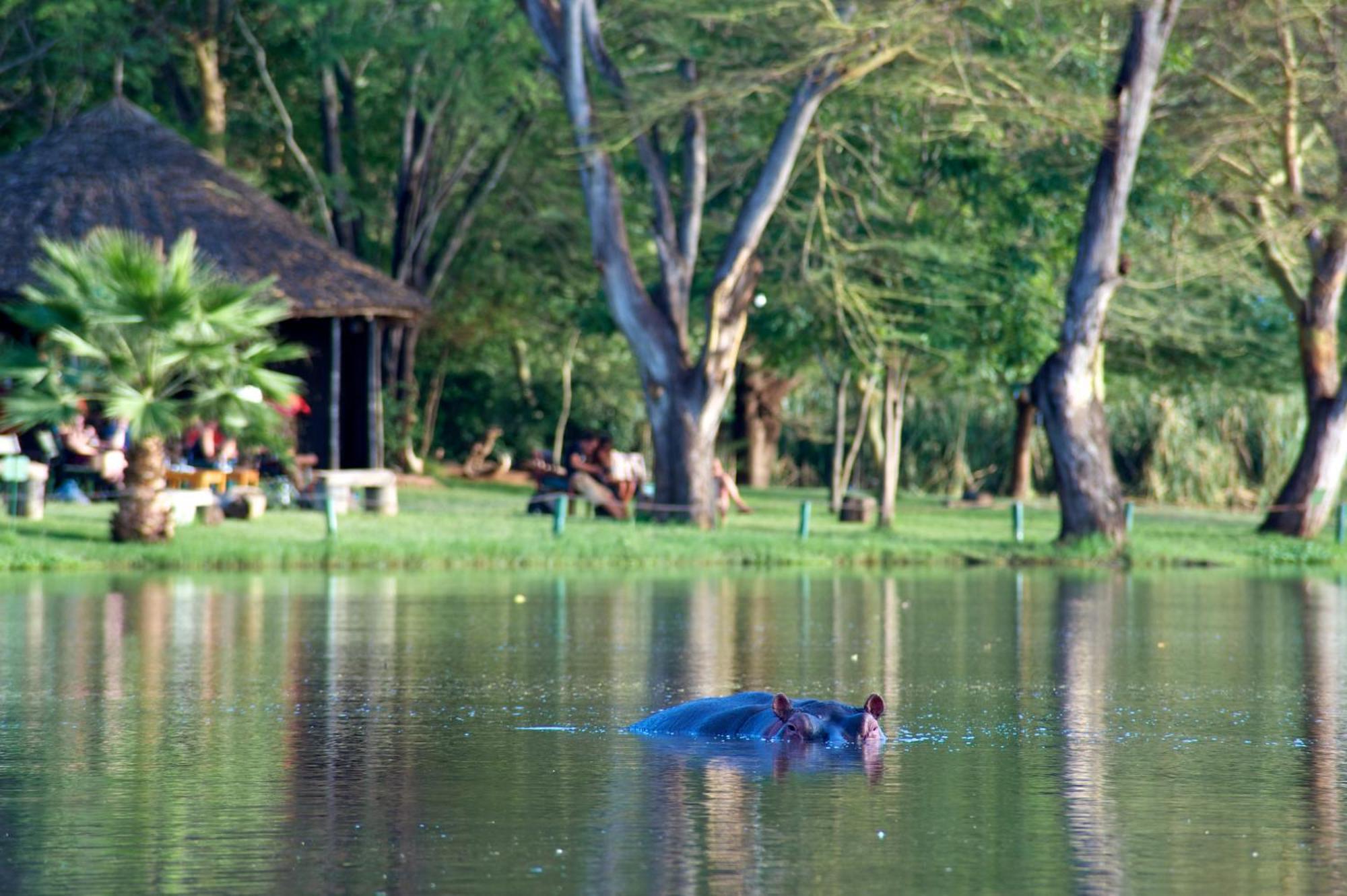 Voyager Ziwani Tented Camp Exterior photo